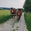 Janusz Stachowicz - @janusz.stachowicz5 - TikTok