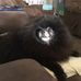 Jane Stackhouse - Facebook