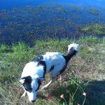 Jan Staley - @jan.staley.52 - Instagram