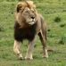 Jan Auer Stallings - Facebook