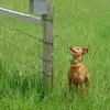 janetstambaughmalerich - @janetstambaughmalerich - TikTok