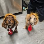 Jan Stamper - @janstamper - Instagram