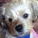 Janie Stamper - @janiestamper - Instagram