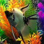 Jan Stanfield - @jan.stanfield.71 - Instagram