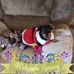 Jan Stanford - Facebook