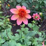 Jan Stanford - @janstanford7 - Instagram