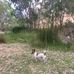 Jan Stanford - Facebook