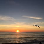 Jan Stanford - @jan.stanford.54772 - Instagram