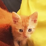 Jan Štarmann - @janstarmann - Instagram