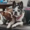 janetesteed - @janetesteed - TikTok