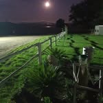 Jan Steenkamp - @jansteenkamp69 - Instagram