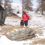 Jan Steiger - @lamakoenig - Instagram