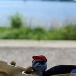 Jan Steiger - @islapu1337 - Instagram