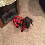 Jan Swanson - @janswanson4 - Instagram
