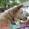 janswansonkelley - @janswansonkelley - TikTok