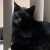 janswartz2 - @janswartz2 - TikTok