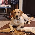 Jan Sylvester-Jamerson - @jan.jamerson1972 - Instagram