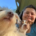Jan Tabor Helms - @janhelms42 - Instagram
