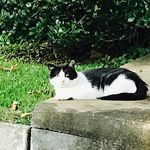 Jean Tatum - @jean.tatum.90 - Instagram