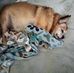 Jan Tedrow - Facebook