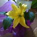 Jan Tedrow - Facebook