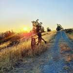 Janel Terrell - @ohanahillfarms - Instagram