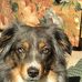 Janice Briggs - Thackston - Facebook