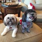 Jan Thigpen - @janthigpen - Instagram