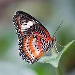 Jan-Martin Thoden - @jan_martin_thoden - Instagram