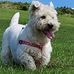 Jan Thorne - Facebook