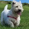 Jan Thorne - @jan.thorne8 - TikTok