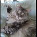 Jan Thorne - Facebook