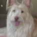 Janet Thurman - Facebook