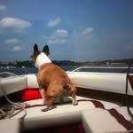 Jan Tierney Kindig - @jmarietk - Instagram