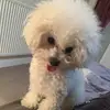Jane Tighe - @jane.tighe - TikTok