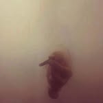 JAYKO - @jan_tillmann_jayko - Instagram