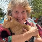 Jan Tilley - @tilleytalk - Instagram
