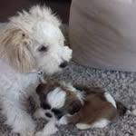 Jan Tilley - @jan.tilley1 - Instagram