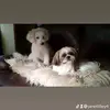 jantilley4 - @jantilley45 - TikTok