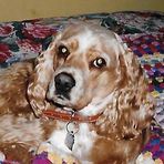 Jan Tolbert - Facebook