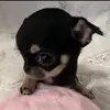 Janiya Tolbert - @janiyatolbert - TikTok