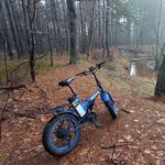 Jan Tomasik - @tomasik3370 - Instagram