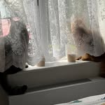 Jan Tooley - @janettooley2023 - Instagram