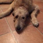 Jan Toth - @jan.toth.7161953 - Instagram