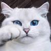 Jan Tower's - @sigueme.o._.eres.gai - TikTok