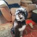 Jan Trapp - Facebook