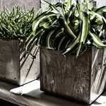 Jan Trapp - @unique__concrete - Instagram