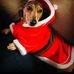 Janet Trapp - Facebook