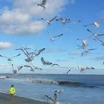 Jan Trawick - @jantrawick - Instagram