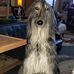 Jan Triplett - Facebook